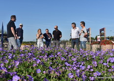 Groepen komen en gaan